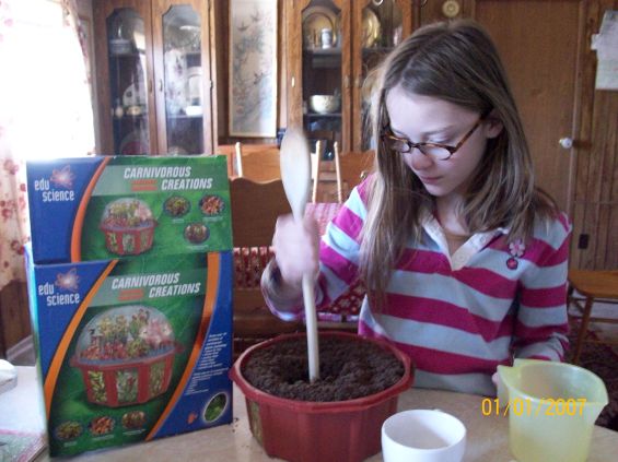 preparing the soil for the carnivorous plants